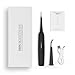Teeth Calculus Remover, Dental Tools, Electric Tartar Scraper Plaque Remover Stainless Steel Dental Cleaner by iFanze (Black)