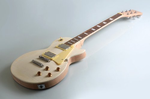 Albatross Guitars GK004 Solid Body Mahogany Flamed Maple Veneer DIY Electric Guitar Kit