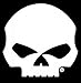 Harley-Davidson Willie g Skull Rear Window Sticker Decal Motorcycle Ride bar and Shield