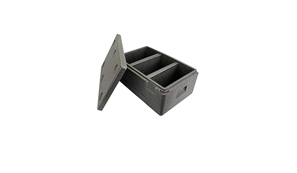 LIYANLCX Nevera portátil de espuma EPP, con asa para camping ...