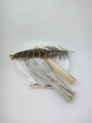 Craftmoor White Scallop Shell, White Sage, Palo Santo and Feather Cleaning Kit