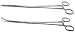 Pean Rochester Straight & Curved Forcep 12