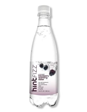 Hint Fizz Blackberry PET 16oz (Pack of 12)
