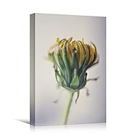 Canvas Wall Art Yellow Flower Portraiture Colorful Floral Multicolor Photography Portrait Romantics - 12x18 inches