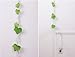 LSW Set of 120 Leaf-it! Leaf Sticky Notes [2 Sheets of 60 Stickers]