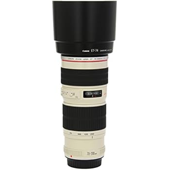 Amazon.com : Canon EF-S 10-18mm f/4.5-5.6 IS STM Lens