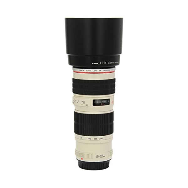 Canon Objektiv EF 70-200 mm f/4L USM
