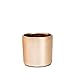 Copper, Rose Gold Succulent Plant Pot - 4 Inch Pot Can Hold Large & Small Succulents, Cactus and Flowers - Cylindrical Modern Design - Rose Gold and Copper for In-Style Look