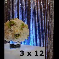 Crystal Iridesent Diamond Cut Curtain 3 ft x 9 ft