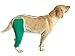 Hip and Thigh Wound Protective Sleeve for Dogs. Dog Recovery Sleeve. Recommended by Vets Worldwide (Large, Teal Green)