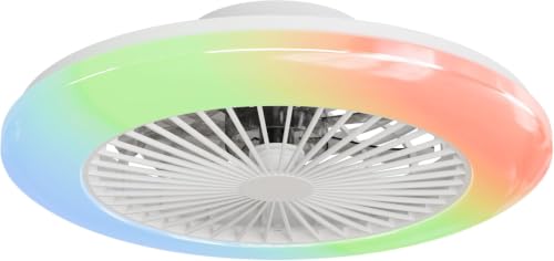 Ceiling Fan with Light and Control 48.5 cm, Silent DC Motor, Extra Flat Design 13.7 cm for Bedroom, RGB, LED 40 W 4200LM, Dimmable 3000-6500K, Winter/Summer, Memory, Timer, White