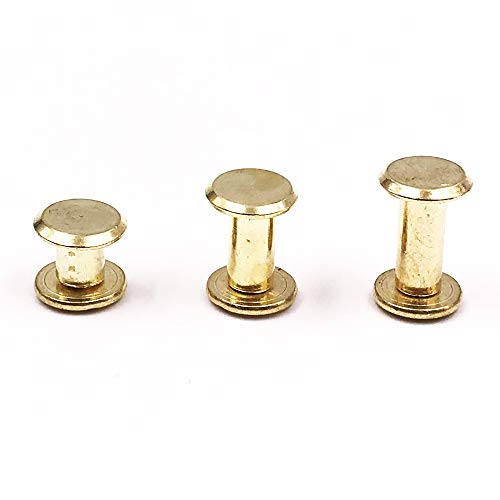 Seloky 75 Sets Gold Chicago Screws Assorted Kit 1/4 3/8 1/2 Inches Screw Posts Metal Accessories Nail Rivet Chicago Button for DIY Leather Decoration Bookbinding Round Flat Head Stud Screw
