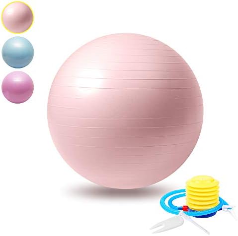 Anyasun Exercise Ball, Gym Ball 65cm Anti-Burst & Anti-Slip with Quick Pump, Swiss Ball Perfect for Yoga, Pilates, Birthing Pregnancy, Core Training, Balance，Workout (Office & Home & Fitness)