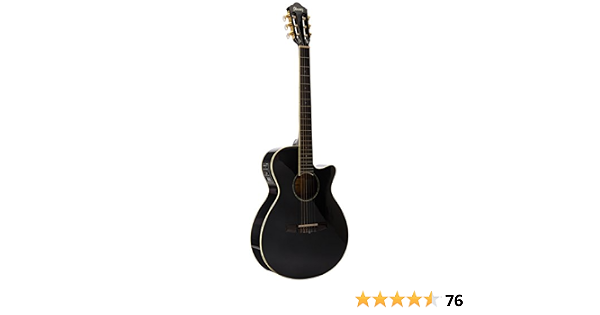 Amazon.com: Cuerdas de nailon Ibanez AEG10NII para guitarra acústica estilo  cutaway o eléctrica, Negro : Instrumentos Musicales