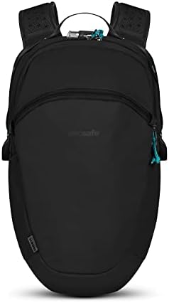 Amazon.com | Pacsafe Metrosafe X Anti Theft 20L Backpack-with