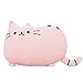 Big Cat Emoji Throw Pillow Pet Sofa Decorative Cushion Soft Plush Toy Doll 15inches 1pc (Pink)