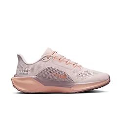 Nike Women's Pegasus 41 Sneaker, Silt Red/Metallic