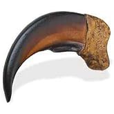 Tandy Leather Resin Bear Claw - Large | Easy to drill for custom placement, these rugged pieces add authentic style to jewelry, costumes, pouches, belts, and bags.