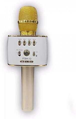 platinum karaoke speaker