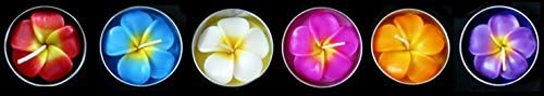 Signature Flower Plumeria Aromatherapy Relax Large Plumeria Multicolor Candle in Tea Lights (Pack of 6 Pcs.)