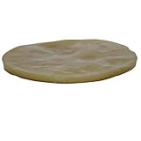 Organic Jun Scoby Starter Kit Featuring Strong Starter Tea and Extra Large Scoby to Ferment Green Tea and Honey at Home