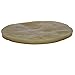 Organic Jun Scoby Starter Kit Featuring Strong Starter Tea and Extra Large Scoby to Ferment Green Tea and Honey at Home