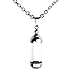 Zysta Stainless Steel Glass Open Container Cylinder Tube Urn Memorial Pendant Necklace, Memorial Ash Keepsake Cremation Jewelry, 24 Inch Chain
