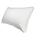 Century Home Signature Collection Gusseted Silk Pillow, Standard primary