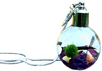 Live Marimo Moss Ball Terrarium Necklace Hand Made Live Wearable Plant Jewelry - Mystic Purple