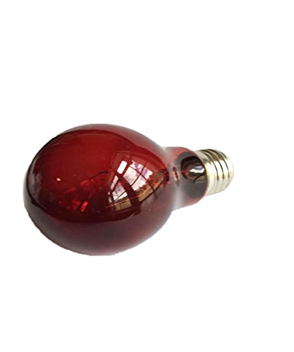 Blue Spotted NightView Wild-Red Heat Lamp Ideal As A 24 Hour Heat Source for Your Pet Reptiles and Amphibians! (60 Watt)