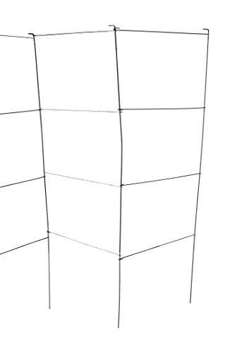 Galvanized Square Folding Tomato Cage Plant Support Trellis Tower 12 inch by 42 inch, Pack of 10 (10, Galvanized)