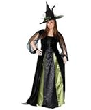 Goth Maiden Witch Costume Plus Size