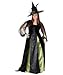 Goth Maiden Witch Costume Plus Size