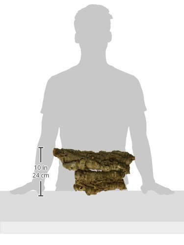 Zoo Med Cork Bark Medium - Image 2
