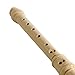 HUAWIND Soprano Descant Recorder German Style 8 Hole Recorder Instrument for Kids With Cleaning Rod, Storage Bag