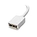 Cable Matters Mini DisplayPort to DisplayPort Adapter (Mini DP to DP) in White - 4K Resolution Ready - Thunderbolt and Thunderbolt 2 Port Compatible