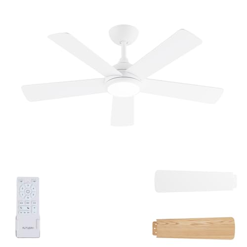 AUTODAY Ceiling Fan with Light, Dimmable LED 24W, Quiet DC Motor 32W, 106cm, Two-tone Plywood Blades, Remote Control with Memory Function, 6 Speed Levels, White