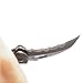 MASALONG Big White Shark Claw Folding Teeth Knife (Black Shark)