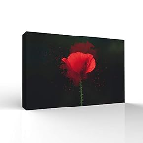 Beautiful Flowers Pictures Home Wall for Bedroom Living...