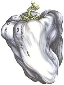 Ween - Pure Guava - Amazon.com Music