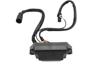 EATAKWARD 113-2453 Outboard Engine CDI, Robust CDI Power Pack, Replacement for Johnson Replacement for Evinrude 581649 581924
