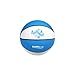 Dunnrite Products Dunnrite PoolSport Replacement Mini Swimming Pool Basketball