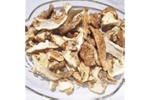OREGON MUSHROOMS Dried Matsutake Mushrooms 1 LB