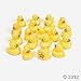 Fun Express Duck Matching Game (Set of 20 Rubber Duckies) Party Games