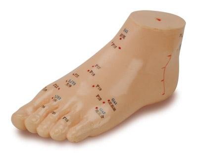 Foot Model/Height 5"x 2.6"