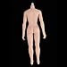 Flameer 1/6 Scale Seamless Female Figure Body Steel Skeleton for Phicen 27cm Height Normal Skin