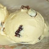 業務用 アイスクリーム ラムレーズンアイスクリーム 業務用アイス