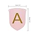 Paxcoo Pink and Gold Birthday Decorations with Birthday Banner Balloons Tissue Flowers Fringe Curtain for Girls 1st Party