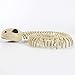 Honfill Skeleton Snake for Halloween Skeleton Decorations, 7 x 6 x 1.37 Inch Skeleton Yard Décor and Bones Animals, White