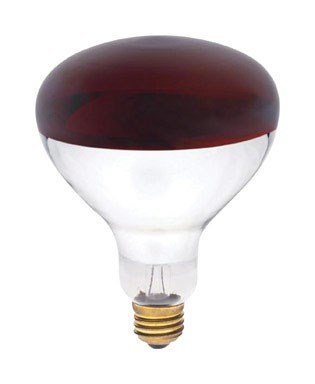 Satco 250-Watt BR40 Incandescent Red Heat Lamp Light Bulb (12 Pack)